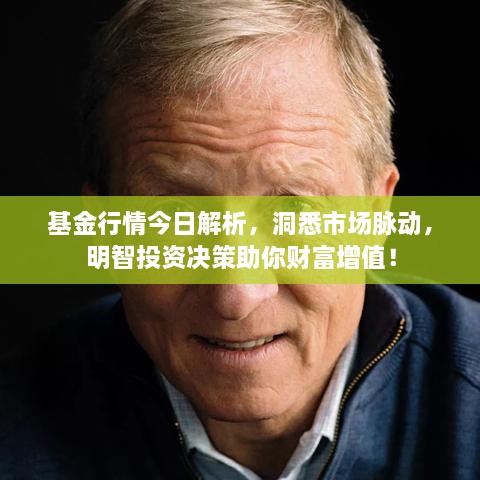 基金行情今日解析，洞悉市場(chǎng)脈動(dòng)，明智投資決策助你財(cái)富增值！