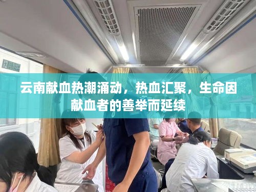云南獻(xiàn)血熱潮涌動，熱血匯聚，生命因獻(xiàn)血者的善舉而延續(xù)