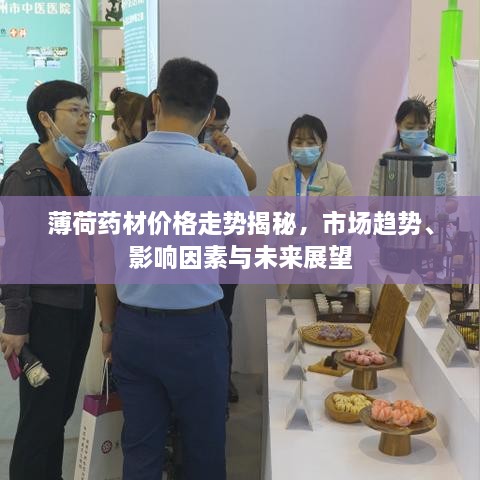 薄荷藥材價格走勢揭秘，市場趨勢、影響因素與未來展望