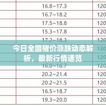 今日全國(guó)豬價(jià)漲跌動(dòng)態(tài)解析，最新行情速覽