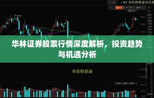 華林證券股票行情深度解析，投資趨勢與機遇分析