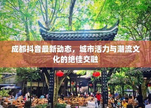 成都抖音最新動態(tài)，城市活力與潮流文化的絕佳交融