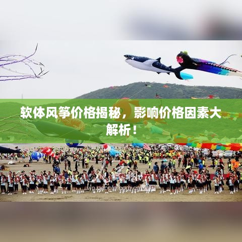 軟體風箏價格揭秘，影響價格因素大解析！