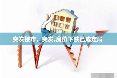 突發(fā)樓市，突發(fā),房價(jià)下跌已成定局 