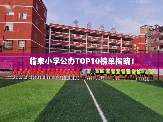 臨泉小學公辦TOP10榜單揭曉！