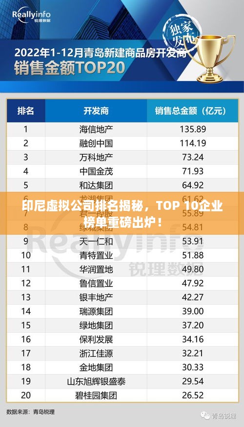 印尼虛擬公司排名揭秘，TOP 10企業(yè)榜單重磅出爐！