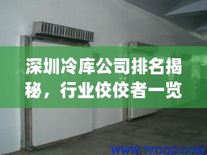 深圳冷庫公司排名揭秘，行業(yè)佼佼者一覽無余