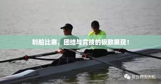 劃船比賽，團(tuán)結(jié)與競技的極致展現(xiàn)！