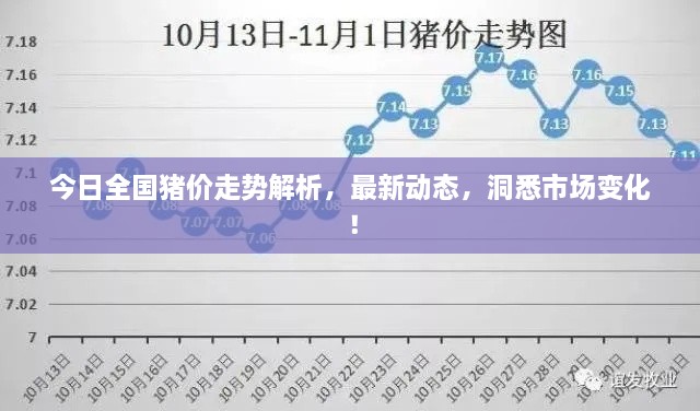 今日全國豬價(jià)走勢解析，最新動(dòng)態(tài)，洞悉市場變化！