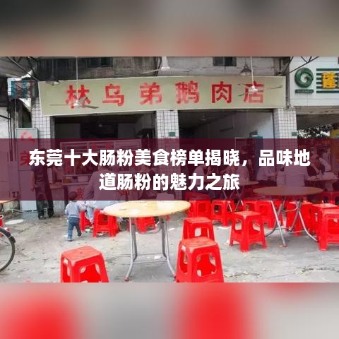 東莞十大腸粉美食榜單揭曉，品味地道腸粉的魅力之旅