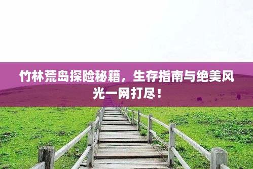 竹林荒島探險秘籍，生存指南與絕美風光一網打盡！
