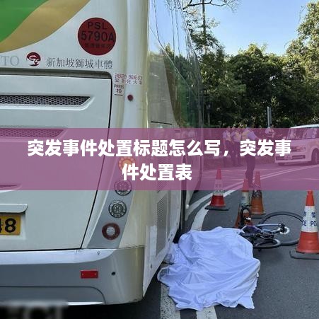 突發(fā)事件處置標(biāo)題怎么寫，突發(fā)事件處置表 