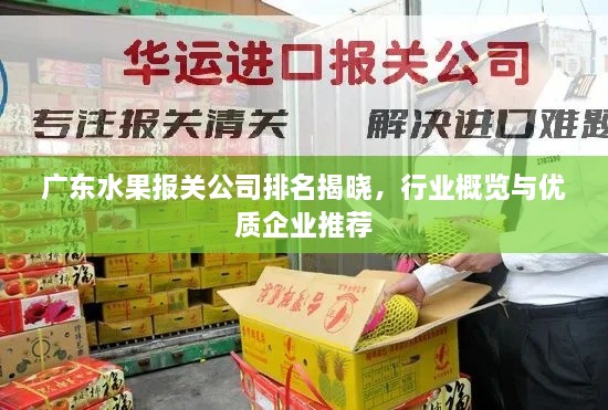 廣東水果報關(guān)公司排名揭曉，行業(yè)概覽與優(yōu)質(zhì)企業(yè)推薦