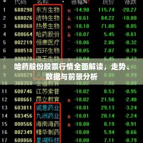 哈藥股份股票行情全面解讀，走勢(shì)、數(shù)據(jù)與前景分析