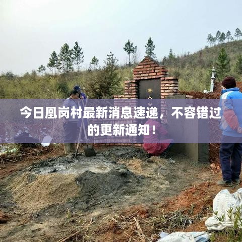 今日凰崗村最新消息速遞，不容錯過的更新通知！