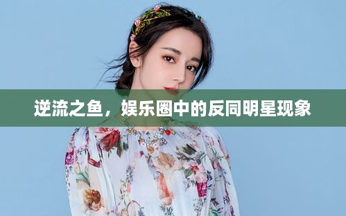 逆流之魚(yú)，娛樂(lè)圈中的反同明星現(xiàn)象