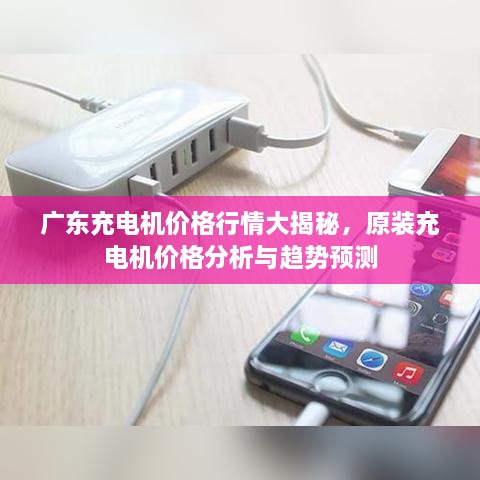 廣東充電機(jī)價(jià)格行情大揭秘，原裝充電機(jī)價(jià)格分析與趨勢(shì)預(yù)測(cè)
