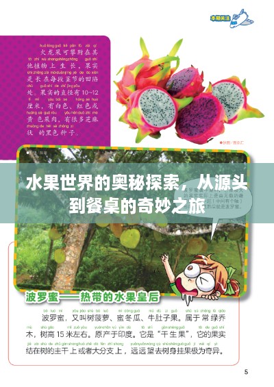水果世界的奧秘探索，從源頭到餐桌的奇妙之旅