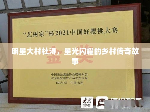明星大村杜潯，星光閃耀的鄉(xiāng)村傳奇故事