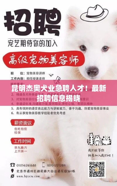 昆明杰奧犬業(yè)急聘人才！最新招聘信息揭曉