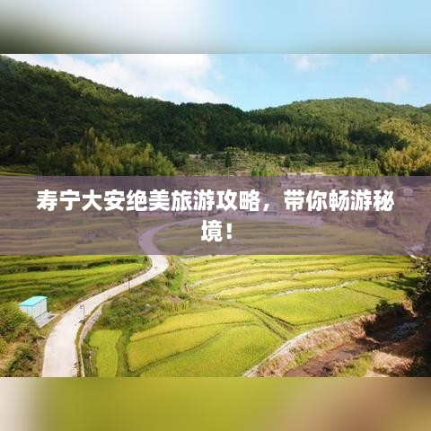 壽寧大安絕美旅游攻略，帶你暢游秘境！