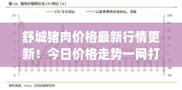 舒城豬肉價格最新行情更新！今日價格走勢一網(wǎng)打盡