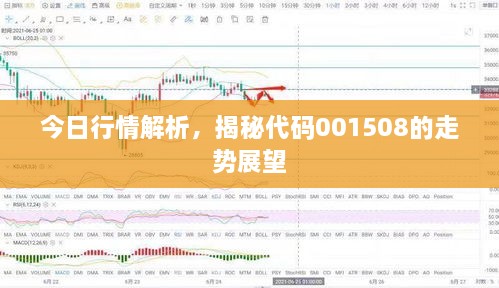 今日行情解析，揭秘代碼001508的走勢(shì)展望