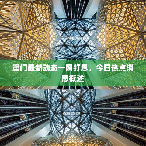 澳門最新動態(tài)一網(wǎng)打盡，今日熱點消息概述