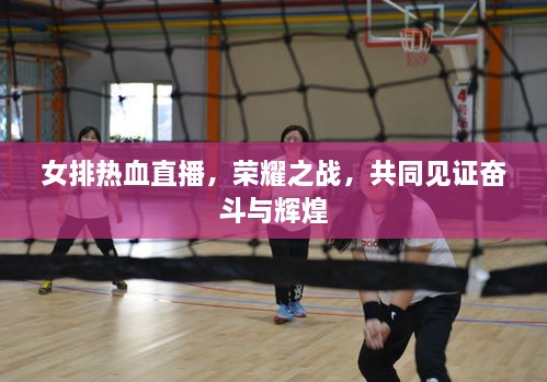 女排熱血直播，榮耀之戰(zhàn)，共同見證奮斗與輝煌