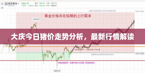 大慶今日豬價走勢分析，最新行情解讀
