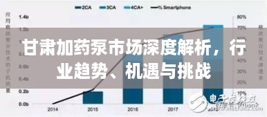 甘肅加藥泵市場(chǎng)深度解析，行業(yè)趨勢(shì)、機(jī)遇與挑戰(zhàn)