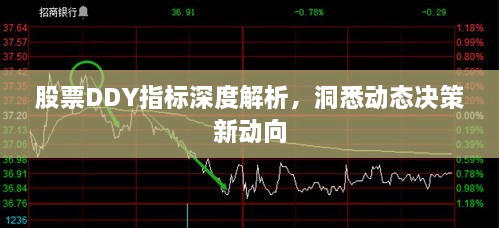 股票DDY指標深度解析，洞悉動態(tài)決策新動向