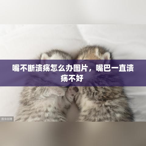 嘴不斷潰瘍怎么辦圖片，嘴巴一直潰瘍不好 