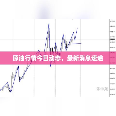 原油行情今日動(dòng)態(tài)，最新消息速遞