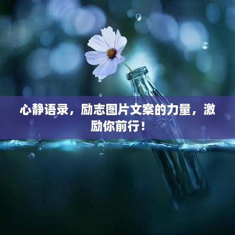 心靜語(yǔ)錄，勵(lì)志圖片文案的力量，激勵(lì)你前行！