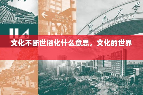 文化不斷世俗化什么意思，文化的世界 
