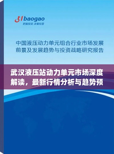 武漢液壓站動(dòng)力單元市場(chǎng)深度解讀，最新行情分析與趨勢(shì)預(yù)測(cè)