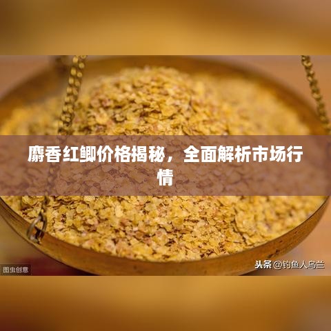麝香紅鯽價(jià)格揭秘，全面解析市場行情