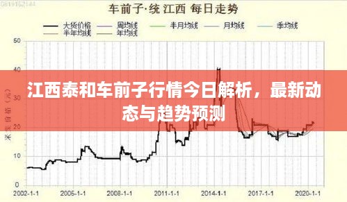 江西泰和車前子行情今日解析，最新動(dòng)態(tài)與趨勢(shì)預(yù)測(cè)