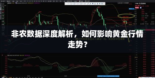 非農(nóng)數(shù)據(jù)深度解析，如何影響黃金行情走勢？
