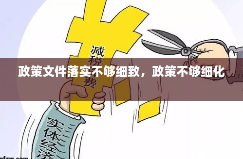 政策文件落實(shí)不夠細(xì)致，政策不夠細(xì)化 
