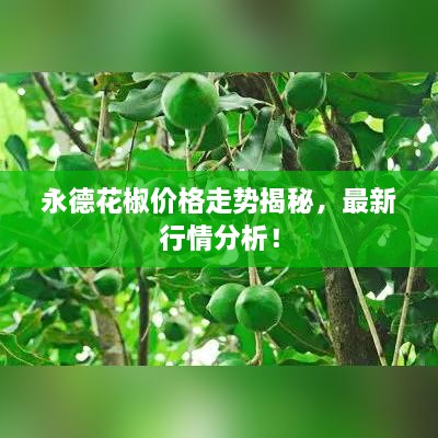 永德花椒價(jià)格走勢(shì)揭秘，最新行情分析！