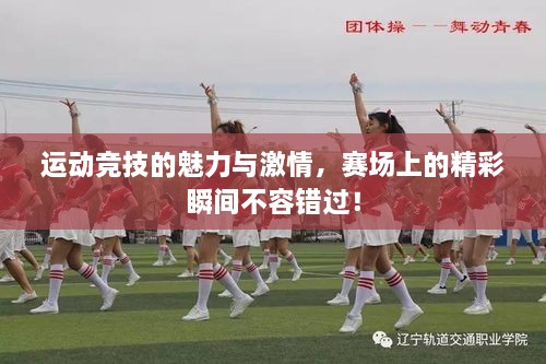 運動競技的魅力與激情，賽場上的精彩瞬間不容錯過！