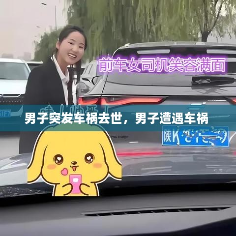 男子突發(fā)車禍去世，男子遭遇車禍 
