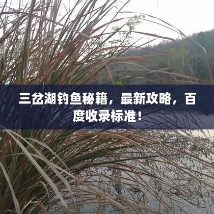 三岔湖釣魚(yú)秘籍，最新攻略，百度收錄標(biāo)準(zhǔn)！
