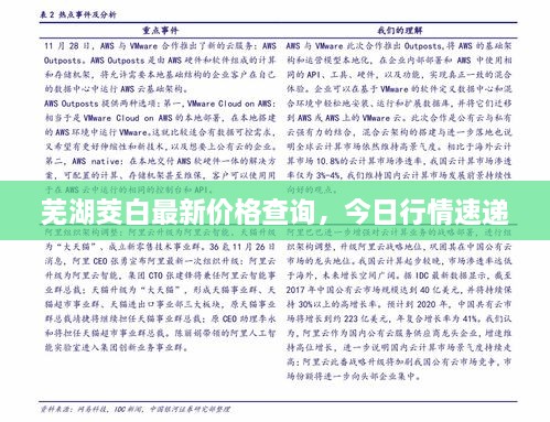 蕪湖茭白最新價(jià)格查詢，今日行情速遞