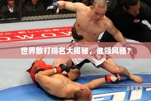 世界散打排名大揭秘，誰(shuí)領(lǐng)風(fēng)騷？