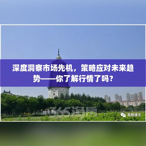 深度洞察市場先機(jī)，策略應(yīng)對未來趨勢——你了解行情了嗎？