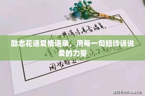勵(lì)志花語愛情語錄，用每一句短詩(shī)訴說愛的力量