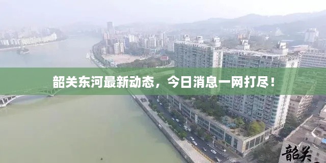 韶關(guān)東河最新動(dòng)態(tài)，今日消息一網(wǎng)打盡！